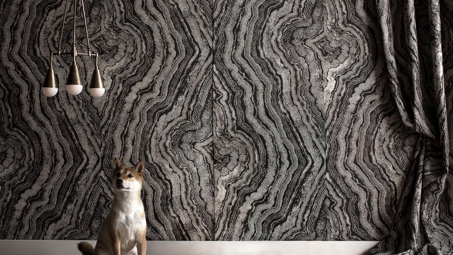Small dog sitting on a white floor in front of a textured wall with swirling gray and black patterns and hanging pendant lights
