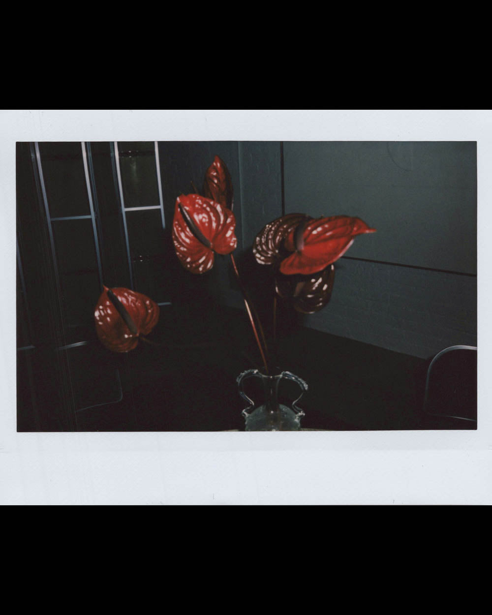 A dark indoor scene featuring a vase with several red anthurium flowers against a muted background.