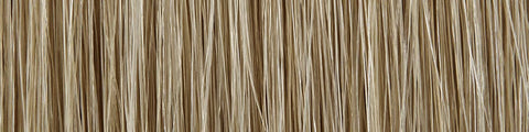 Close-up of textured beige and light brown natural fiber strands arranged vertically against a neutral background