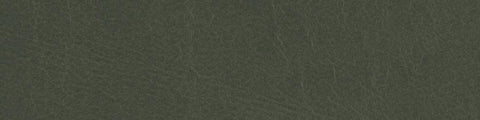 Close-up of celadon green leather texture with fine grain and natural creases across the surface