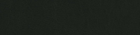Close-up view of dark green leather surface with smooth texture and subtle natural creases visible across the material