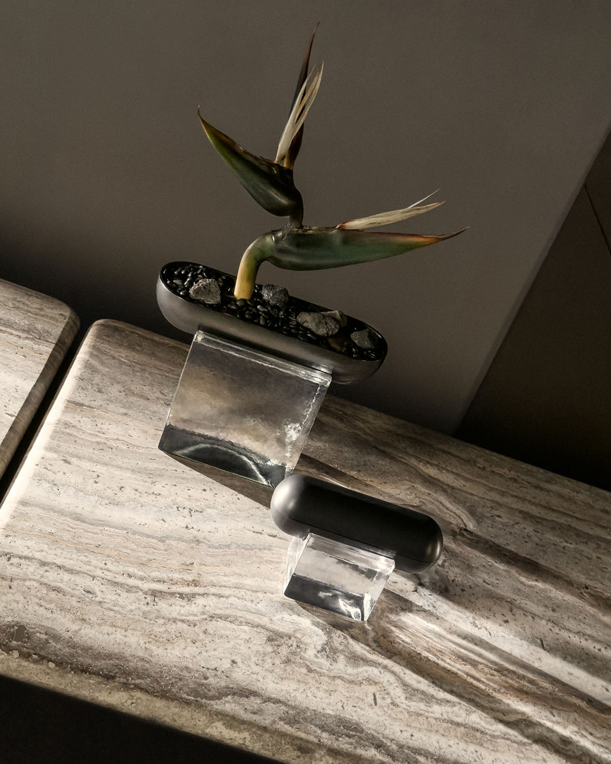 Unique vessel planter with organic bird of paradise stem on clear geometric acrylic stands over a textured stone surface