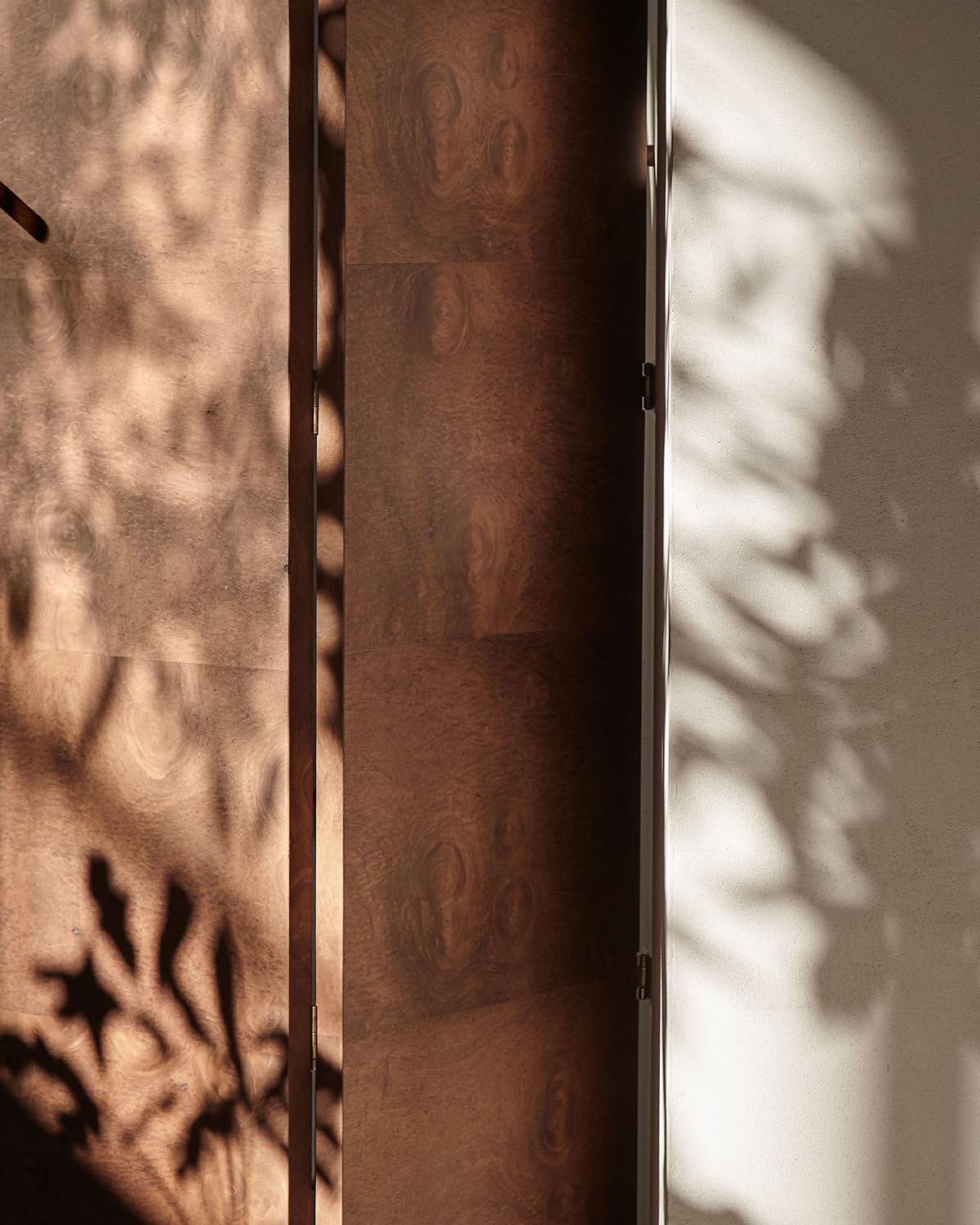 Soft natural light casting leafy shadows on a wooden door and adjacent beige wall creating abstract patterns