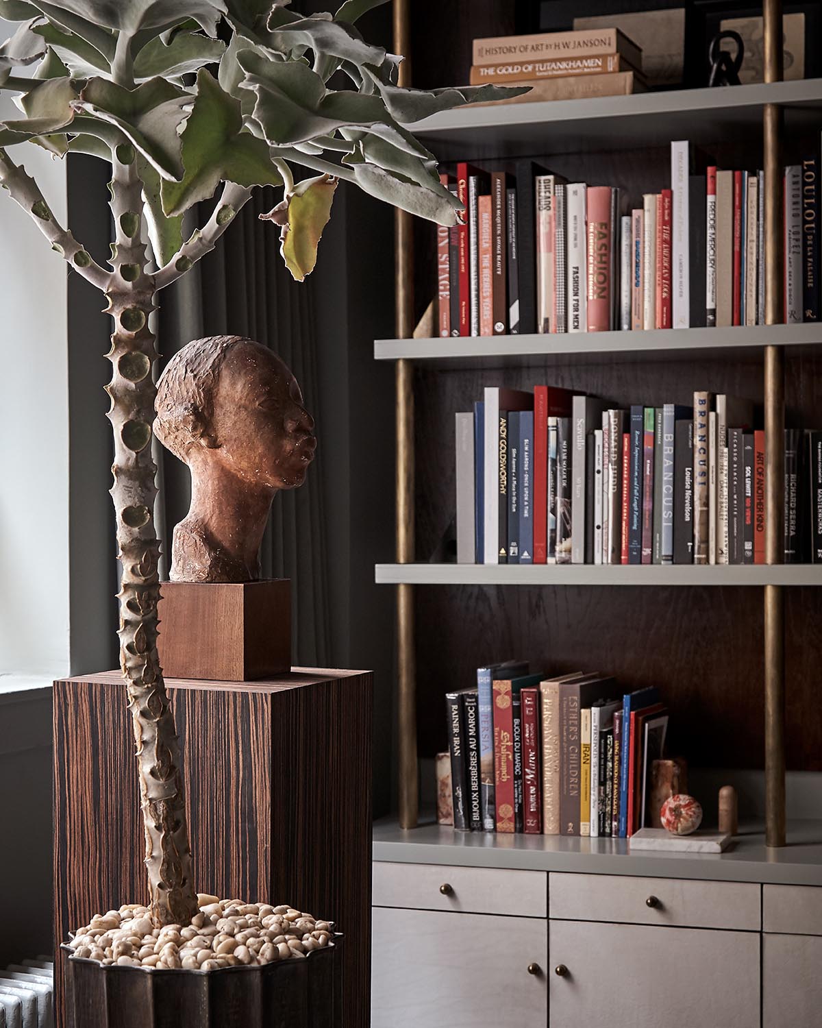 Interior scene with a sculpted bust on a wooden pedestal, a potted plant, and a bookshelf filled with books against a dark wall
