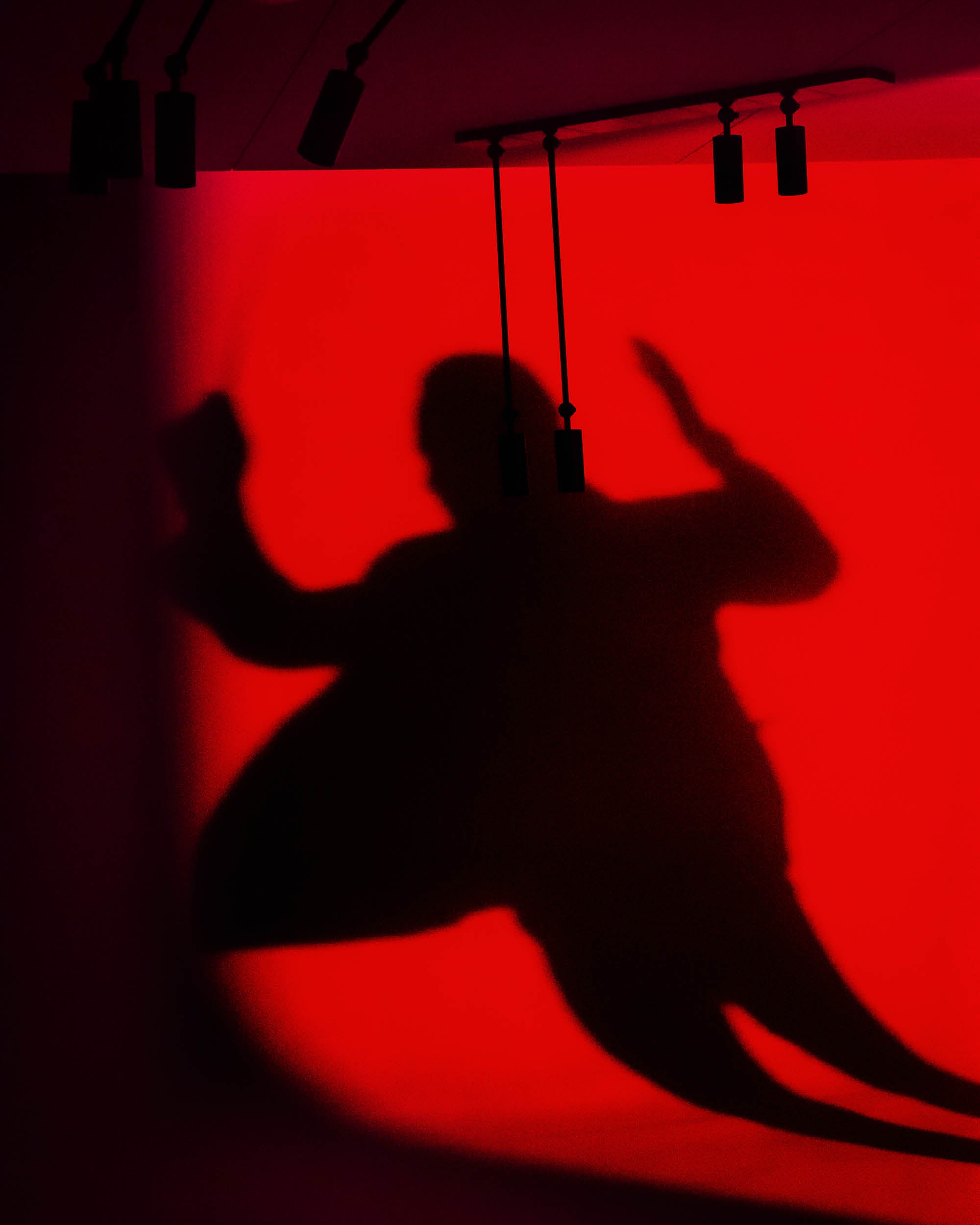 Shadow of a person in a dynamic pose cast on a bright red wall with ceiling-mounted track lights above.